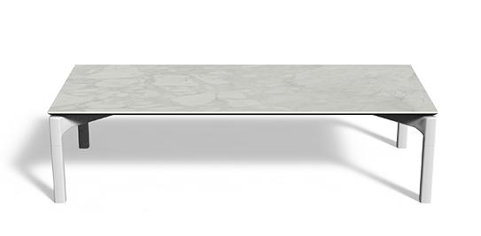 COFFEE TABLE BONE